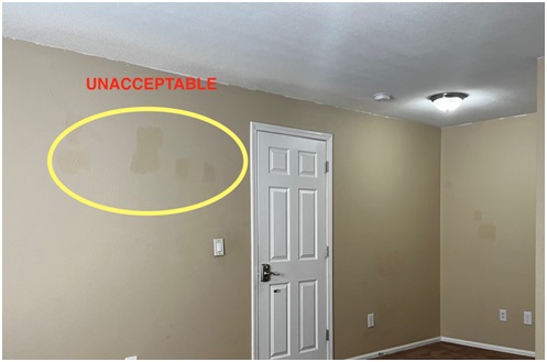 UNACCEPTABLE Touch-Up Paint Examples